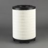 DONALDSON P953211 Air Filter